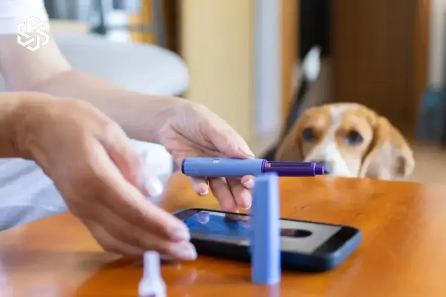 Woman on a video call with her provider
