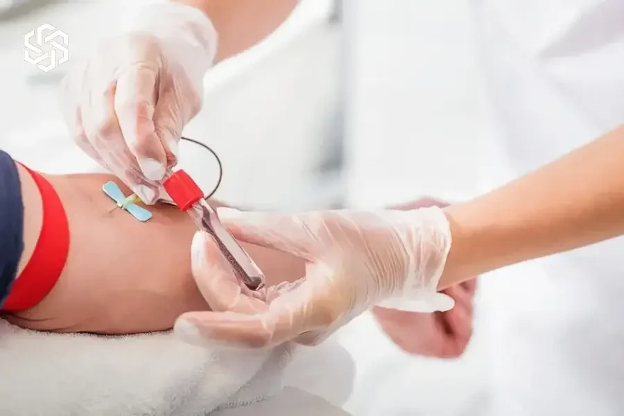 Provider drawing a patient's blood